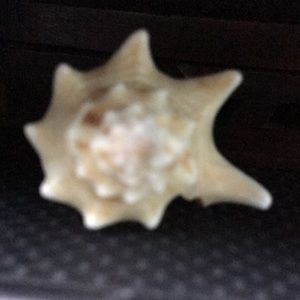 Meet your Posher, Rachelle